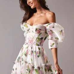 Milla Feminine Voluminous Sheer Sleeves Dress