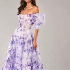 Milla Feminine Voluminous Sheer Sleeves Dress