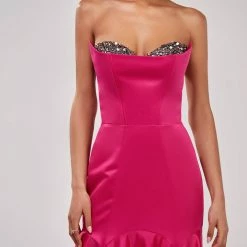 Milla COLLECTIONS Fuchsia Fitted Maxi Dress With Sequin Silver Bra
