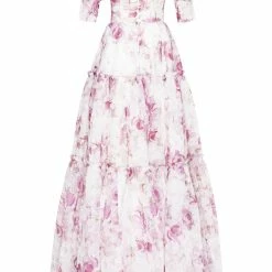 Milla Feminine Voluminous Sheer Sleeves Dress