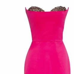 Milla COLLECTIONS Fuchsia Fitted Maxi Dress With Sequin Silver Bra