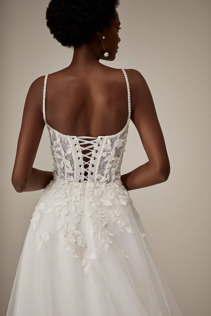 MillaNova LIPA 6 MillaNova LIPA